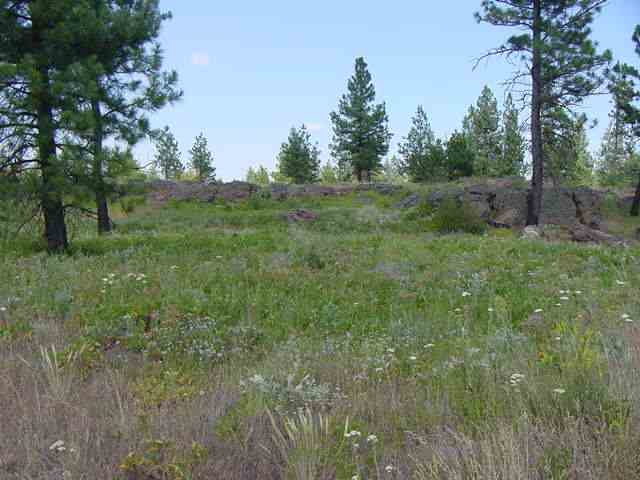20001 South Harrison Road Edwall, WA 99008 - Photo 1 of 5