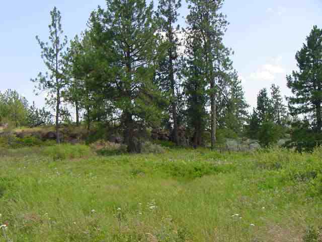 20001 South Harrison Road Edwall, WA 99008 - Photo 4 of 5