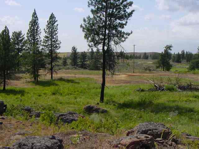 20001 South Harrison Road Edwall, WA 99008 - Photo 5 of 5
