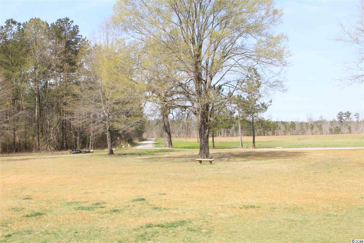 1737 Bay Catfish Road Latta, SC 29565 - Photo 19 of 24 Gallery Image 19