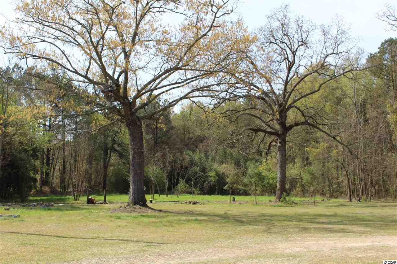 1737 Bay Catfish Road Latta, SC 29565 - Photo 23 of 24 Gallery Image 23