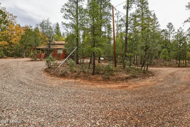 a view of a lush green forest with mountains in the background