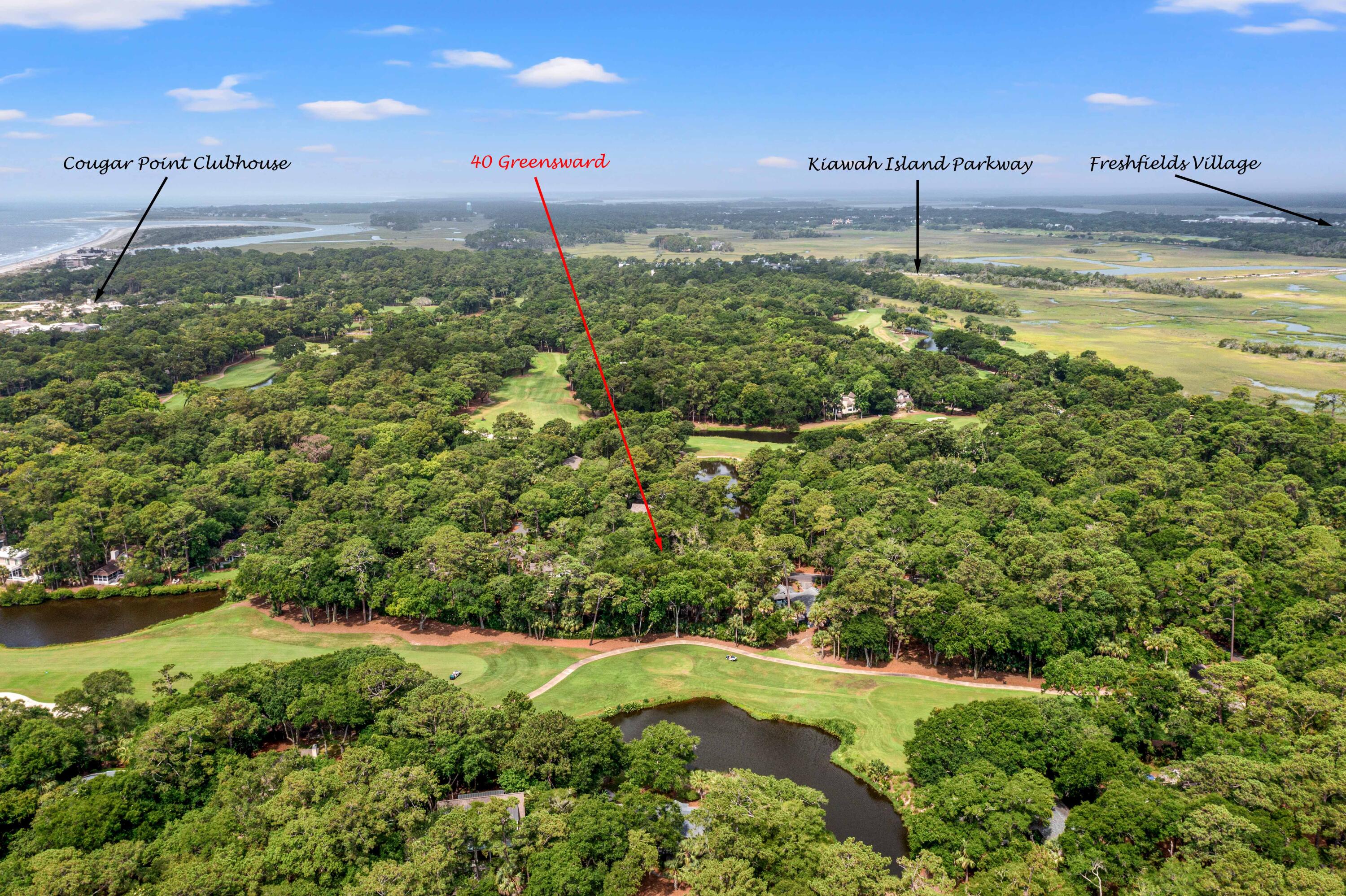 40 Greensward Road Kiawah Island, SC 29455 - Photo 73 of 95 DJI_0376