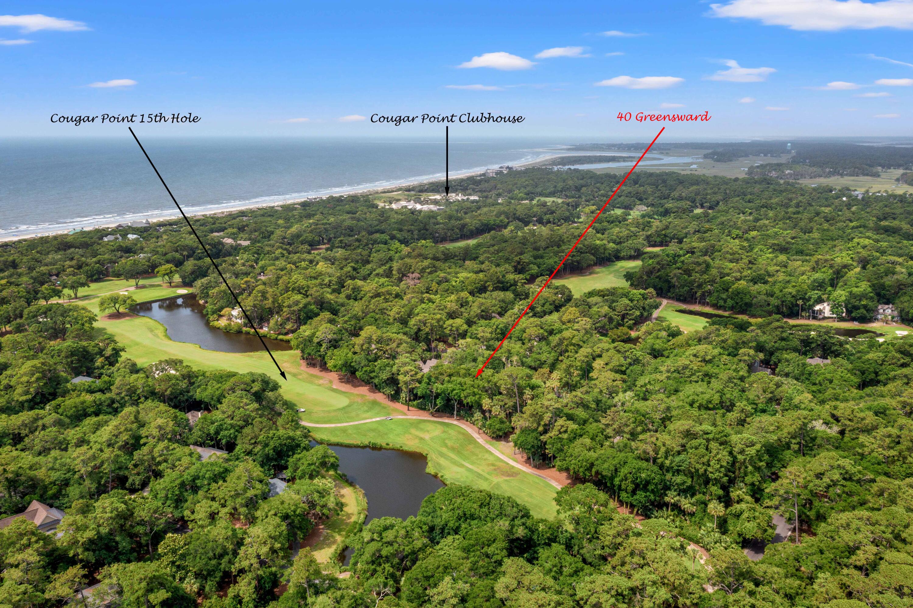 40 Greensward Road Kiawah Island, SC 29455 - Photo 74 of 95 DJI_0377