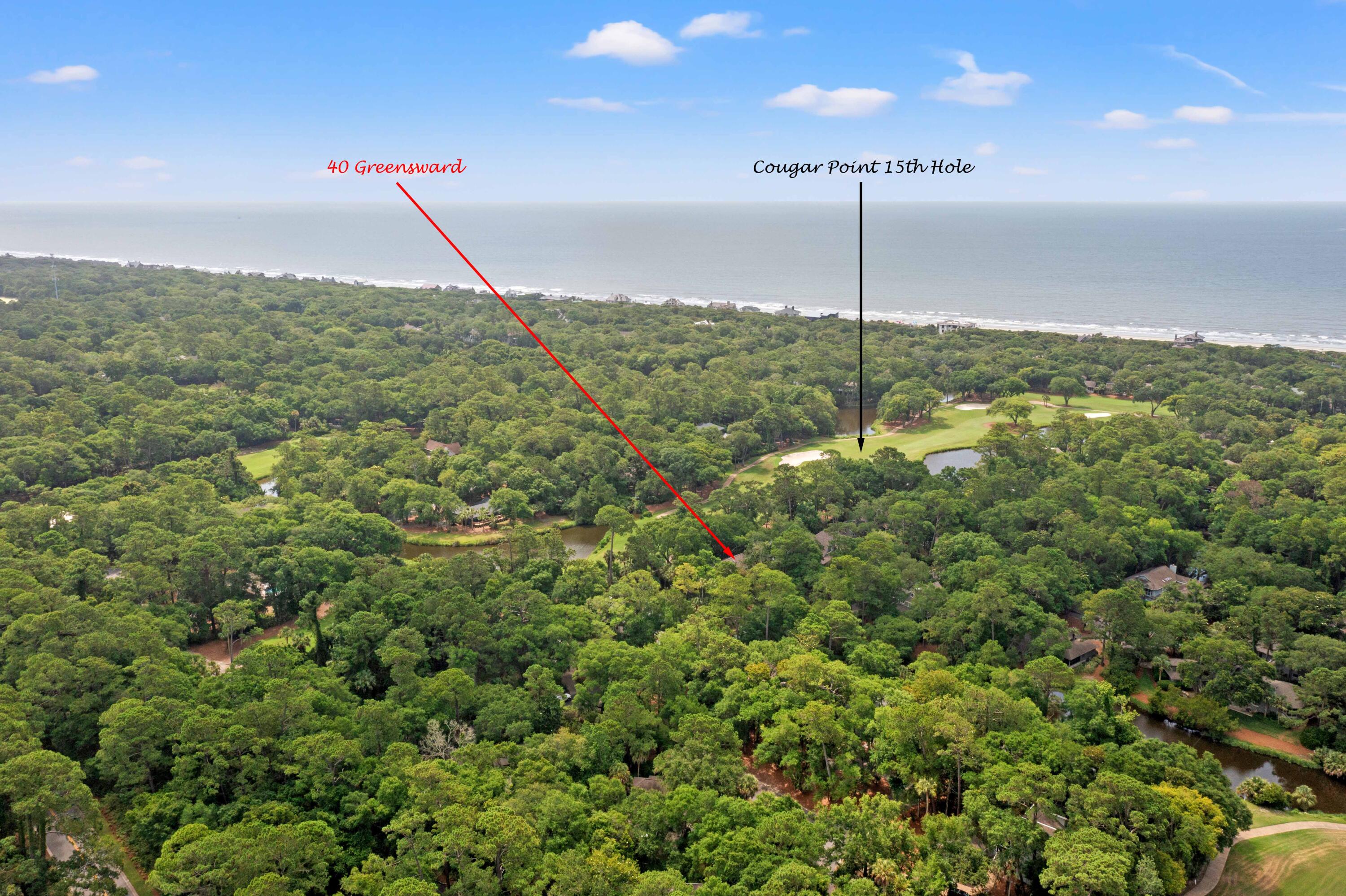 40 Greensward Road Kiawah Island, SC 29455 - Photo 75 of 95 DJI_0379