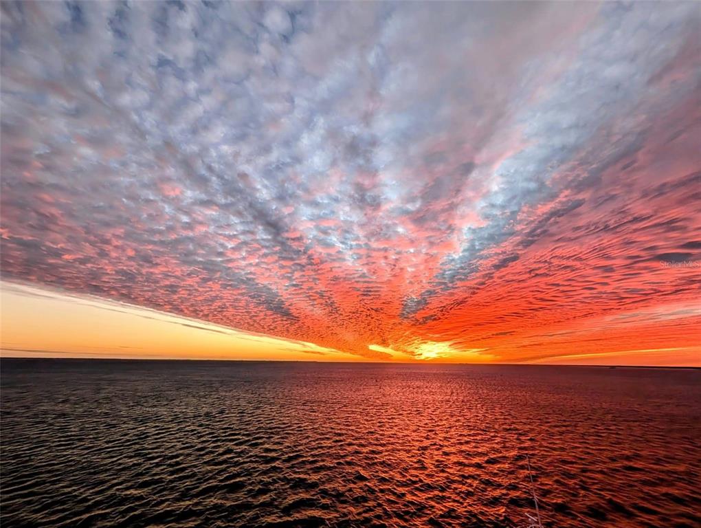 1404 Corey Way South South Pasadena, FL 33707 - Photo 17 of 21