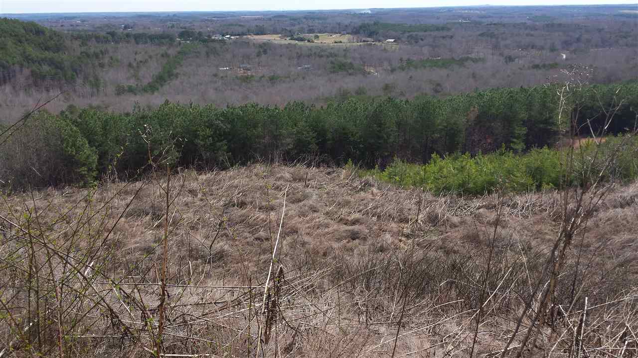21 Little Mountain Road Tryon, NC 28782 - Photo 1 of 1 Gallery Image 1