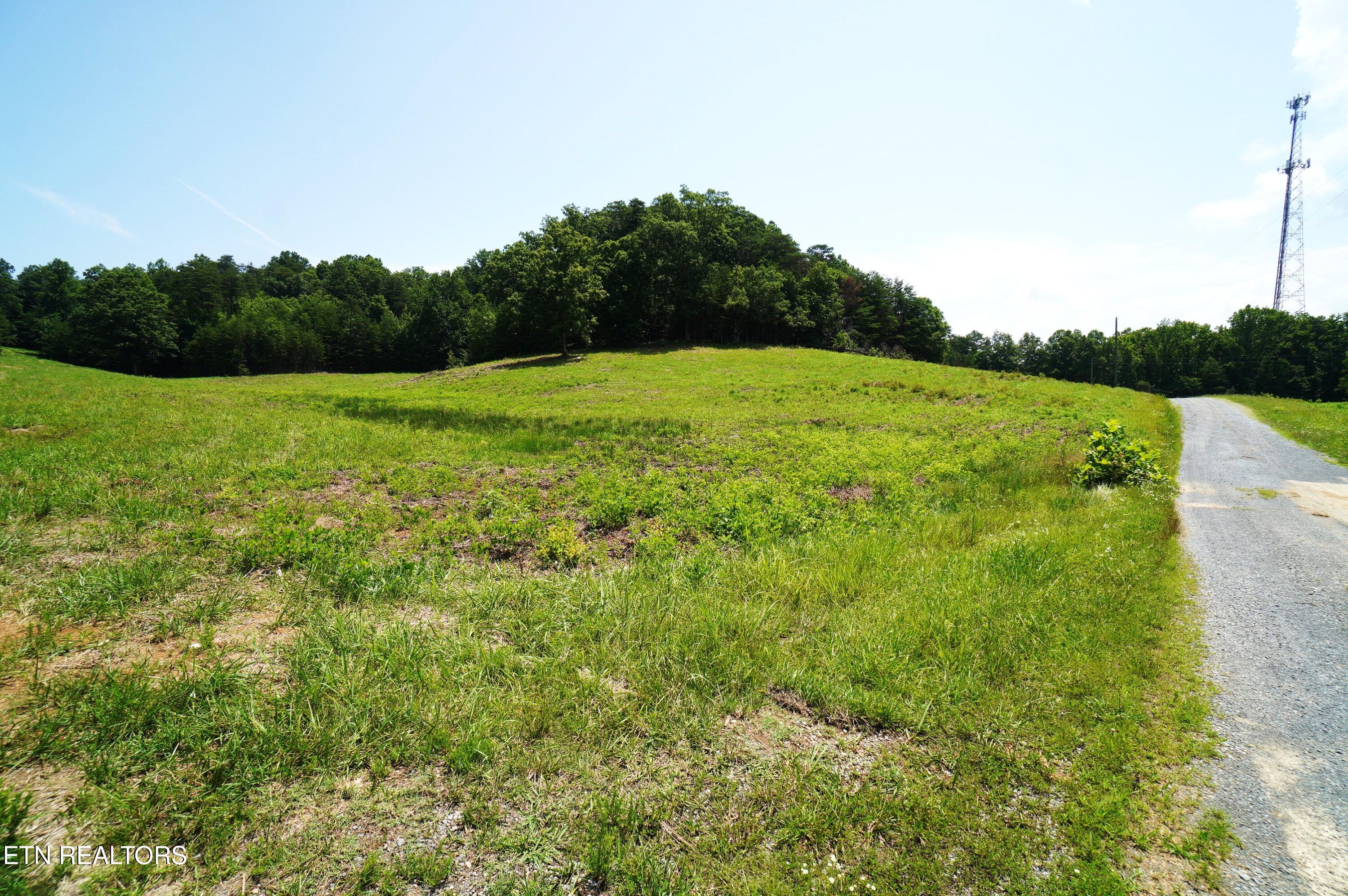 0 Rhyne Camp Road Newport, TN 37821 - Photo 8 of 19 camp rhyne rd (9)