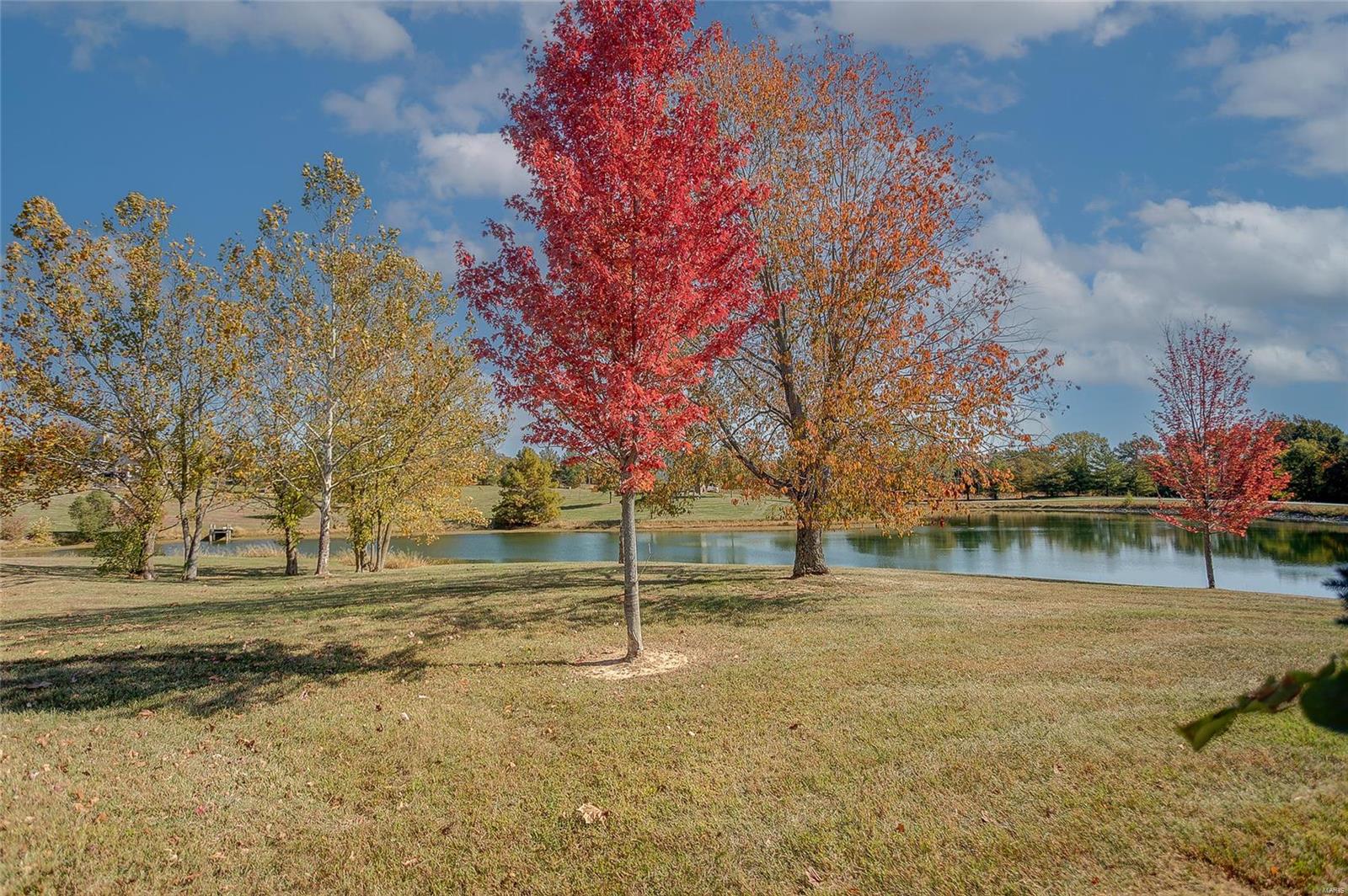 5564 Konarcik Road Waterloo, IL 62298 - Photo 34 of 50