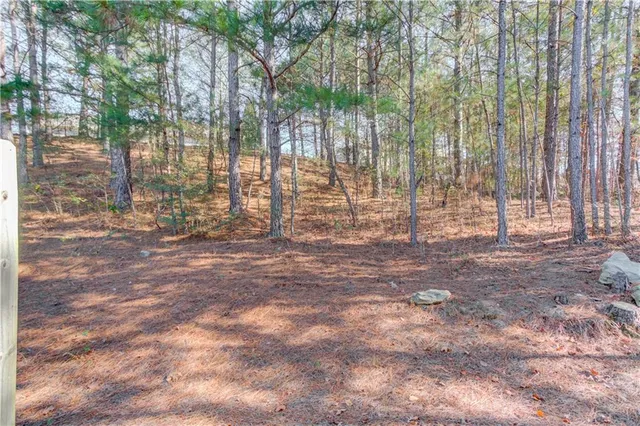 a view of outdoor space with deck and trees