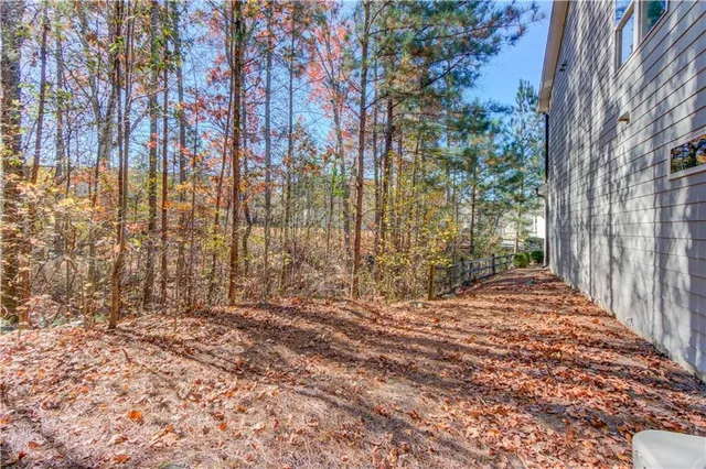 a view of backyard with green space