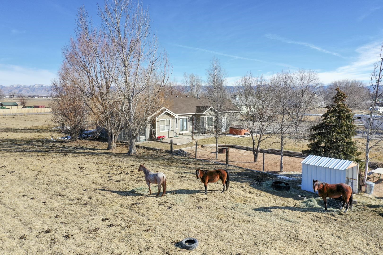 1885 J Road Fruita, CO 81521 - Photo 40 of 41 a view of a house with a yard covered in snow
