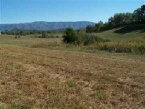 Buildine site