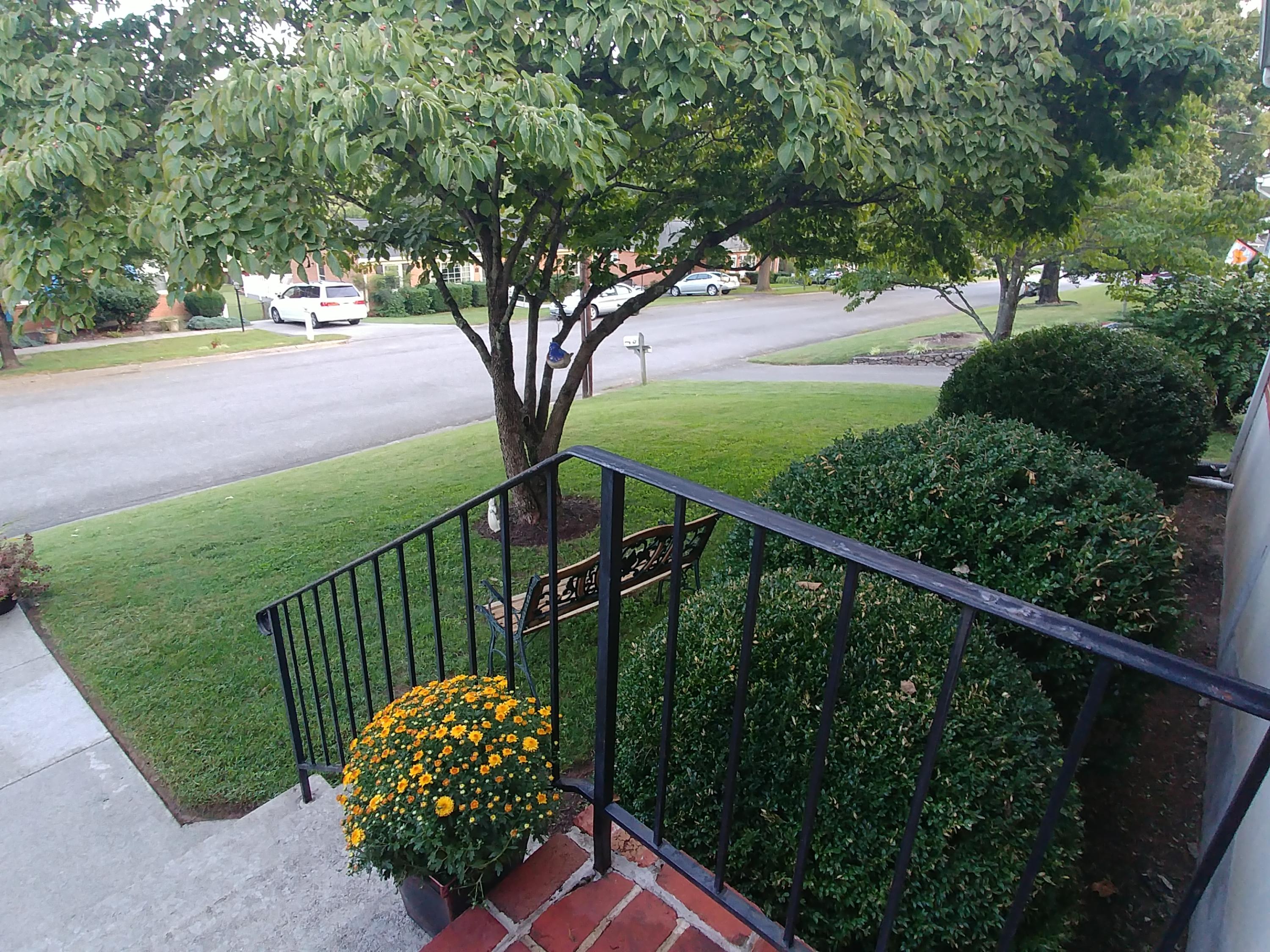 3451 Greencliff Road Roanoke, VA 24018 - Photo 32 of 37 Robin Denney Bushes & Trees