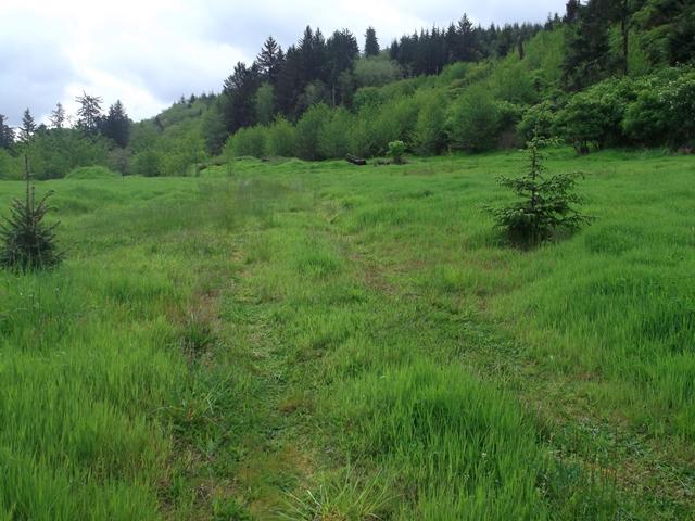Tl#101 East Beaver Creek Road Beaver, OR 97112 - Photo 4 of 13 003