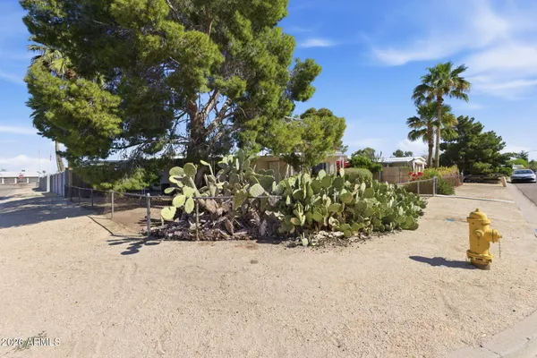 a view of a park with some trees