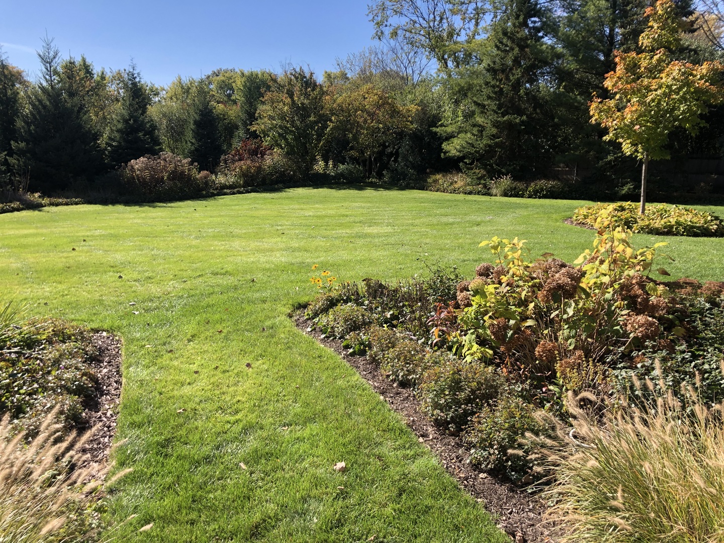 1021 Old Mill Road Lake Forest, IL 60045 - Photo 11 of 13 a view of a field with an trees