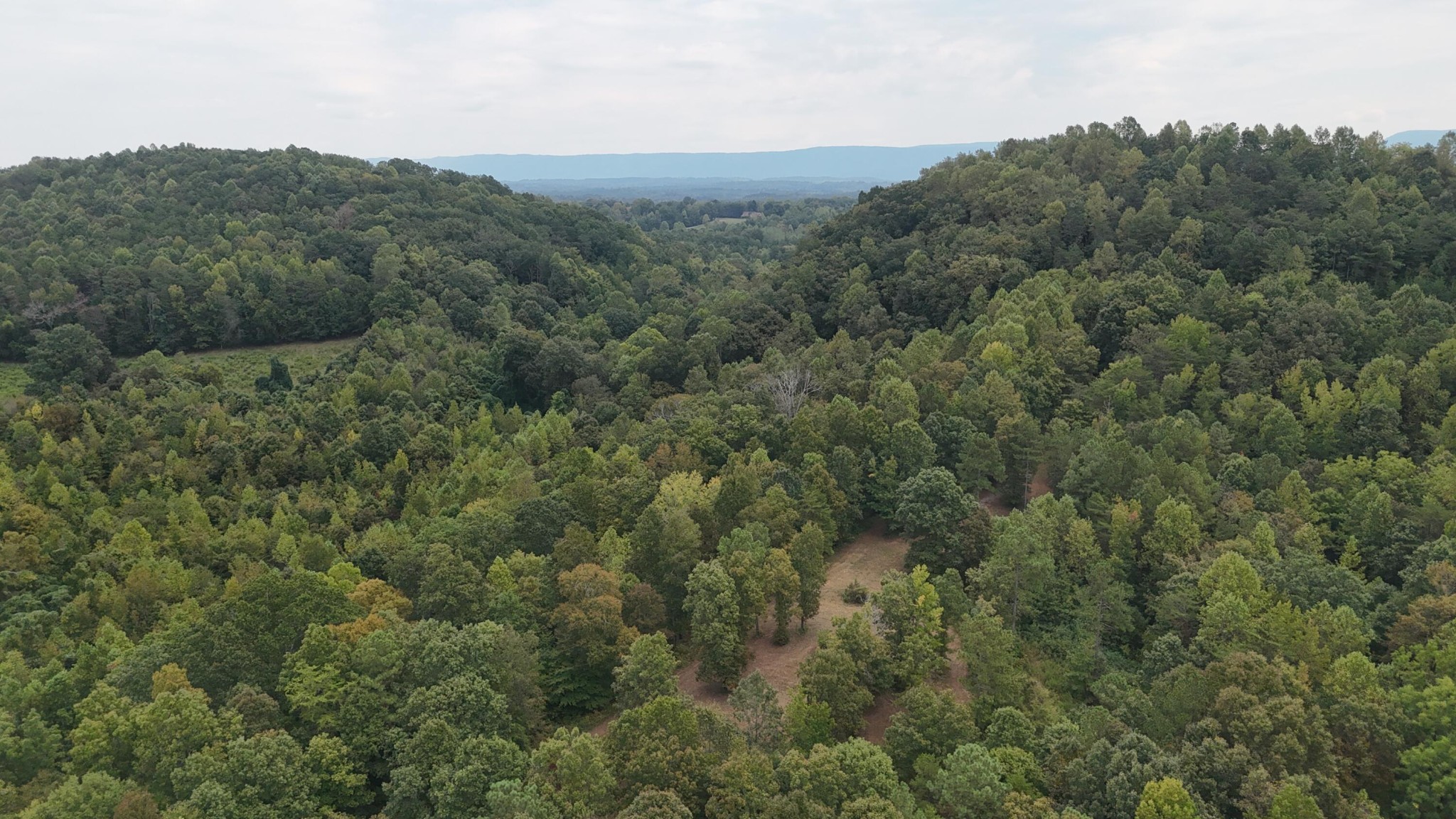 2324 County Road 758 Riceville, TN 37370 - Photo 29 of 43 Gallery Image 29