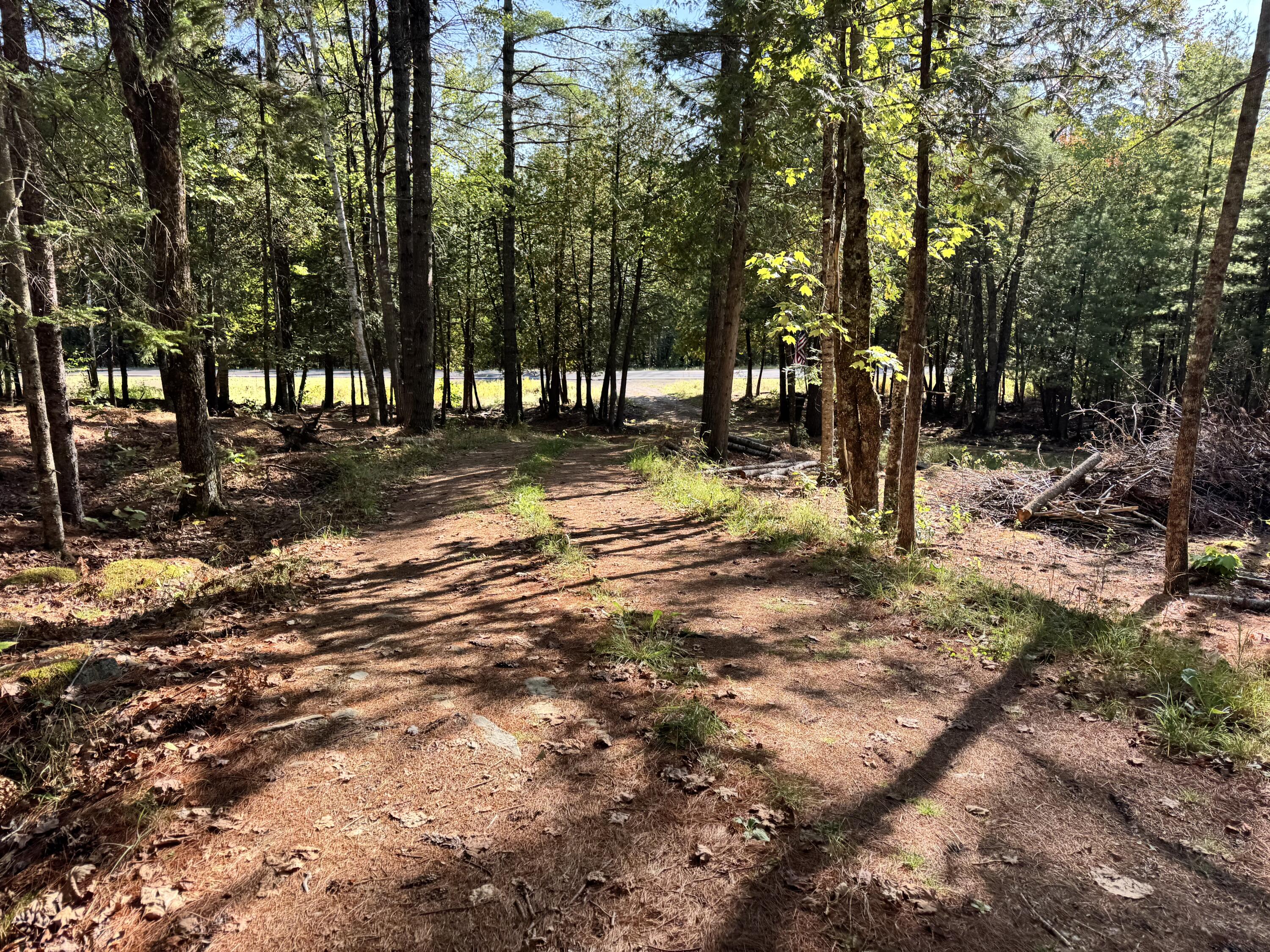 996 Mullen Road Stetson, ME 04488 - Photo 8 of 136 Cleared Spot for a Home