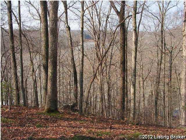 96 Blueberry Hill Bee Spring, KY 42207 - Photo 3 of 5 Additional Photo