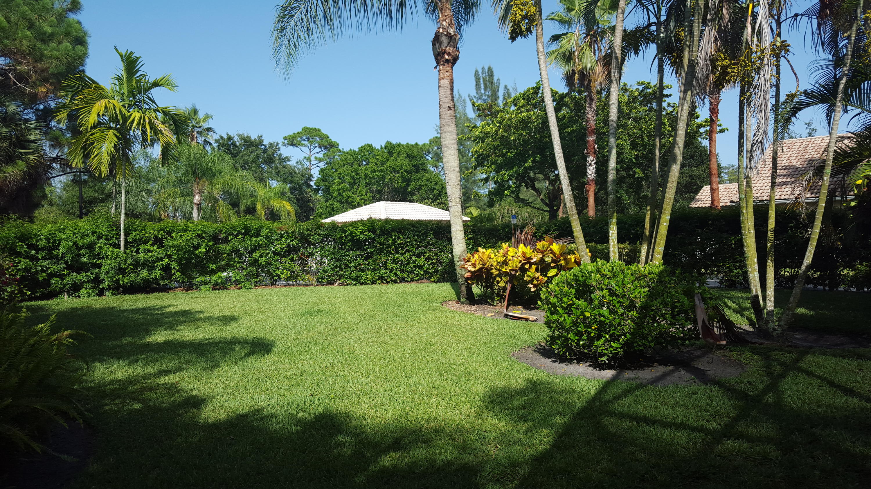 1772 Barnstable Road Wellington, FL 33414 - Photo 25 of 39 OVERSIZED YARD
