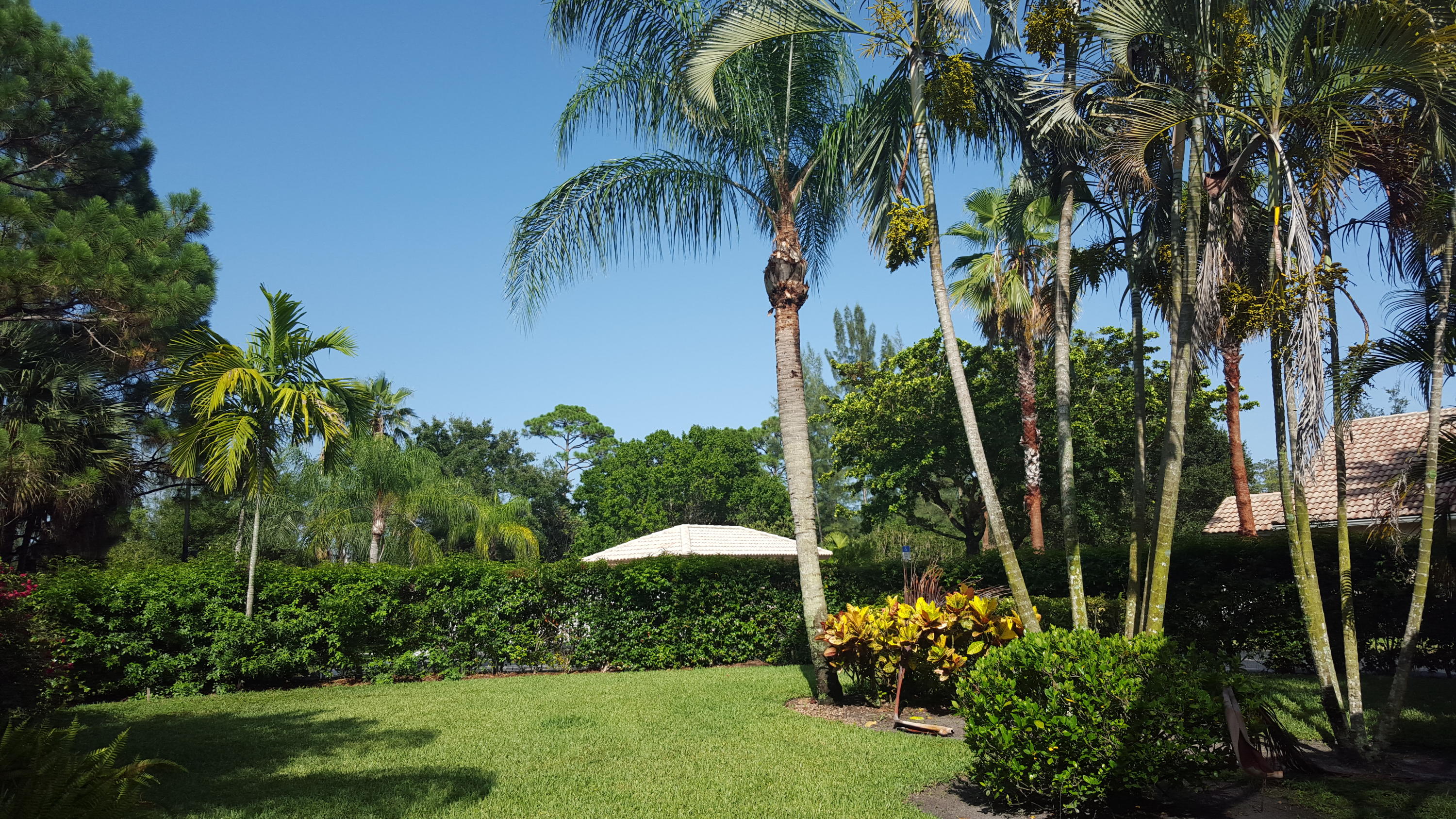 1772 Barnstable Road Wellington, FL 33414 - Photo 26 of 39 OVERSIZED YARD