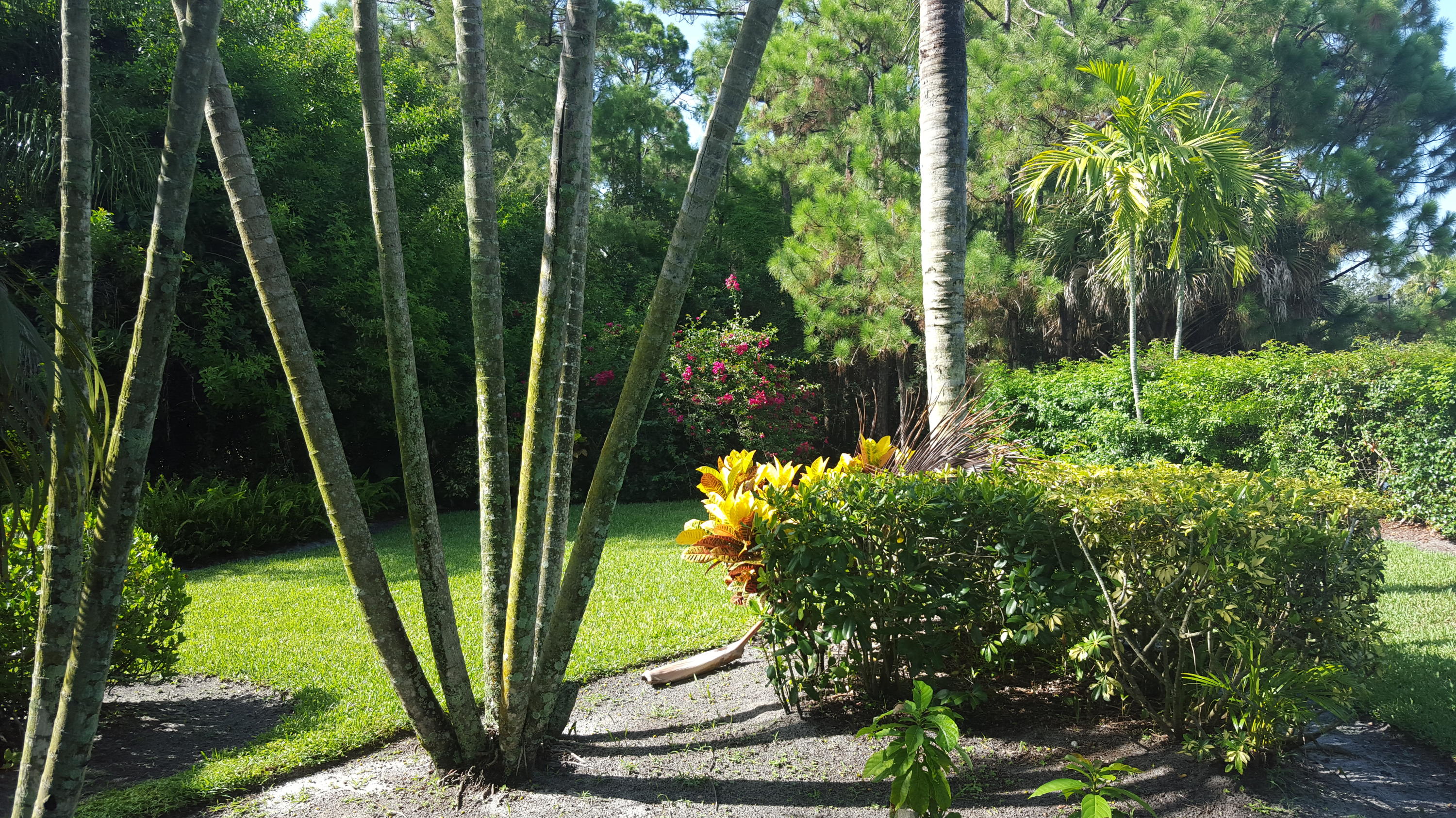 1772 Barnstable Road Wellington, FL 33414 - Photo 27 of 39 YARD