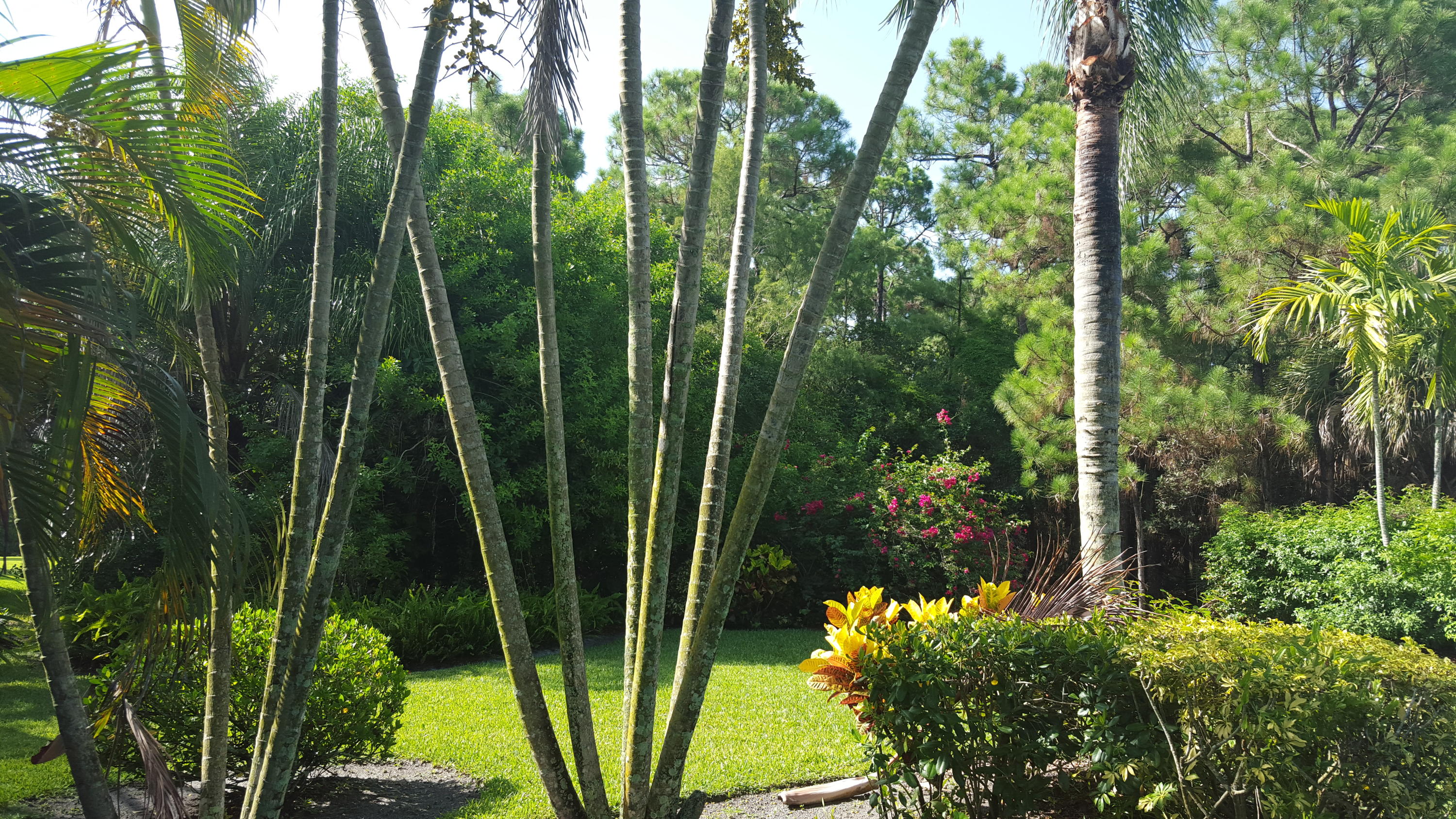 1772 Barnstable Road Wellington, FL 33414 - Photo 29 of 39 YARD