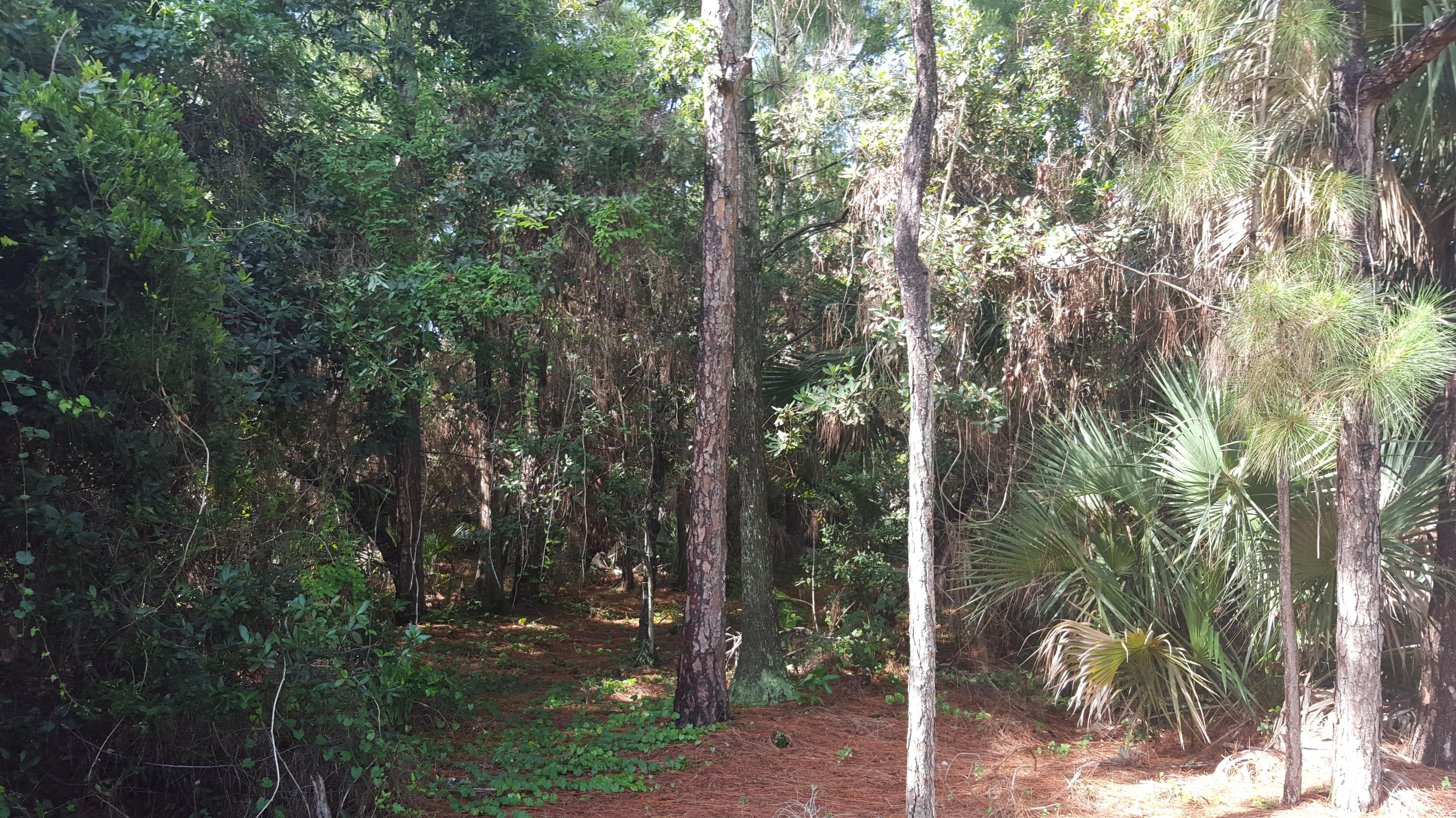 1772 Barnstable Road Wellington, FL 33414 - Photo 30 of 39 PRESERVE IN YARD