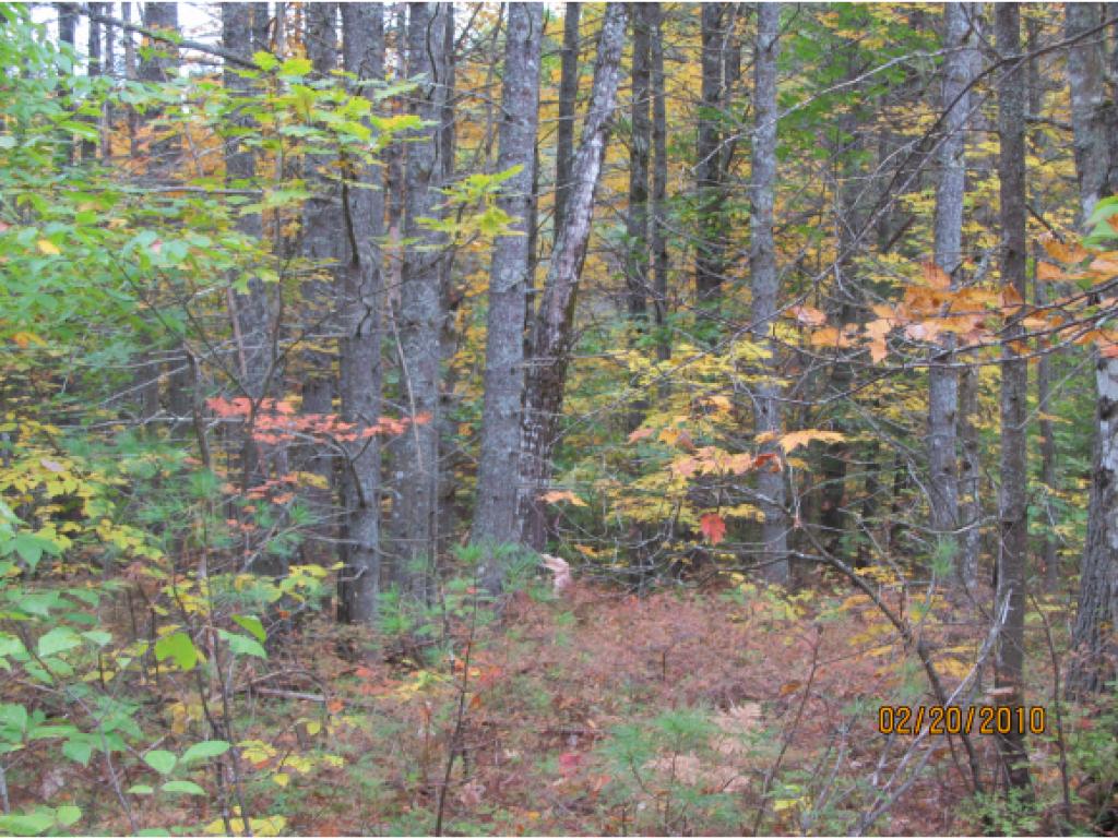 Lot 3 Sanborn Farms Road Fryeburg, ME 04037 - Photo 3 of 7
