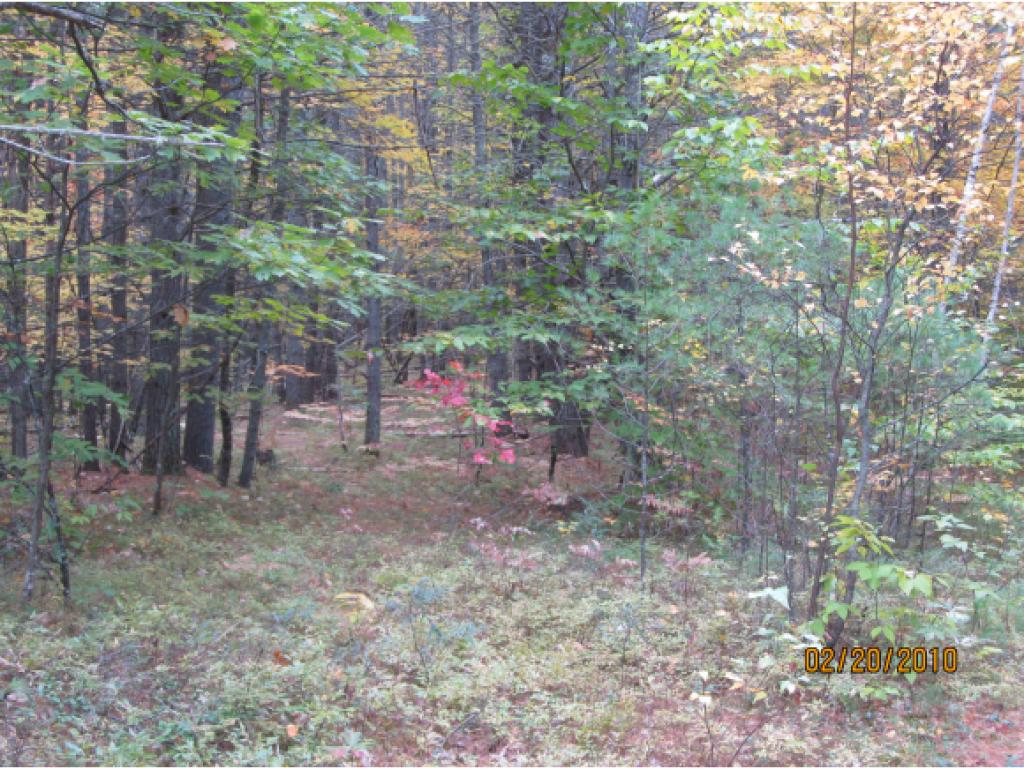 Lot 3 Sanborn Farms Road Fryeburg, ME 04037 - Photo 4 of 7
