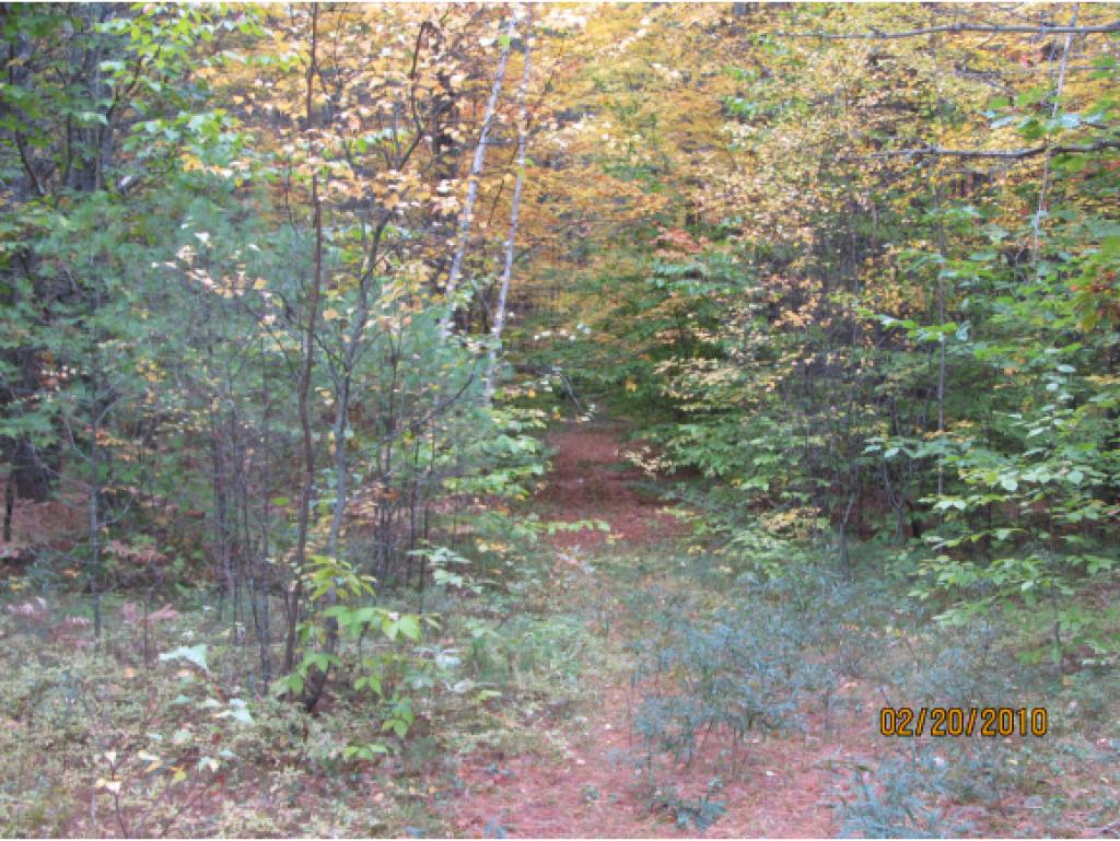 Lot 3 Sanborn Farms Road Fryeburg, ME 04037 - Photo 5 of 7