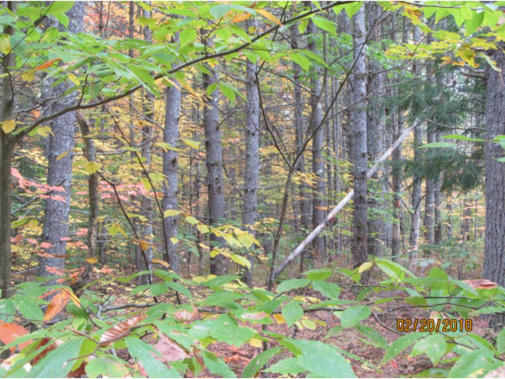 Lot 3 Sanborn Farms Road Fryeburg, ME 04037 - Photo 6 of 7