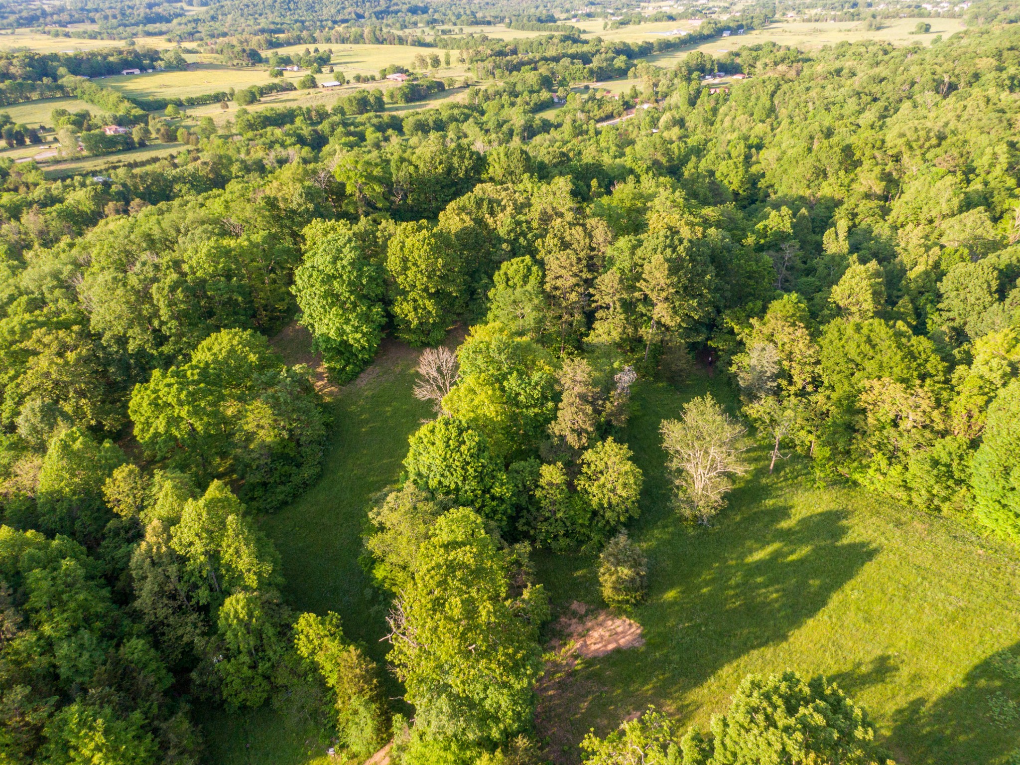 386 Rhodes Road New Market, TN 37820 - Photo 9 of 12 Gallery Image 9