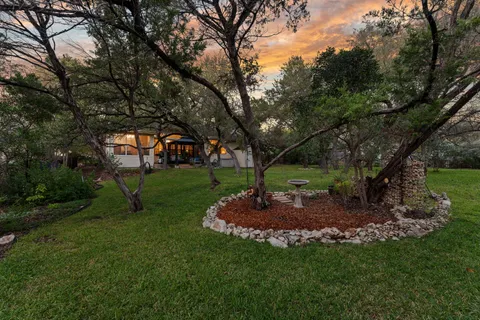 a view of a park with a tree