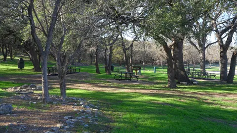 $640,000 | 603 Flamingo Boulevard, Lakeway, TX 78734