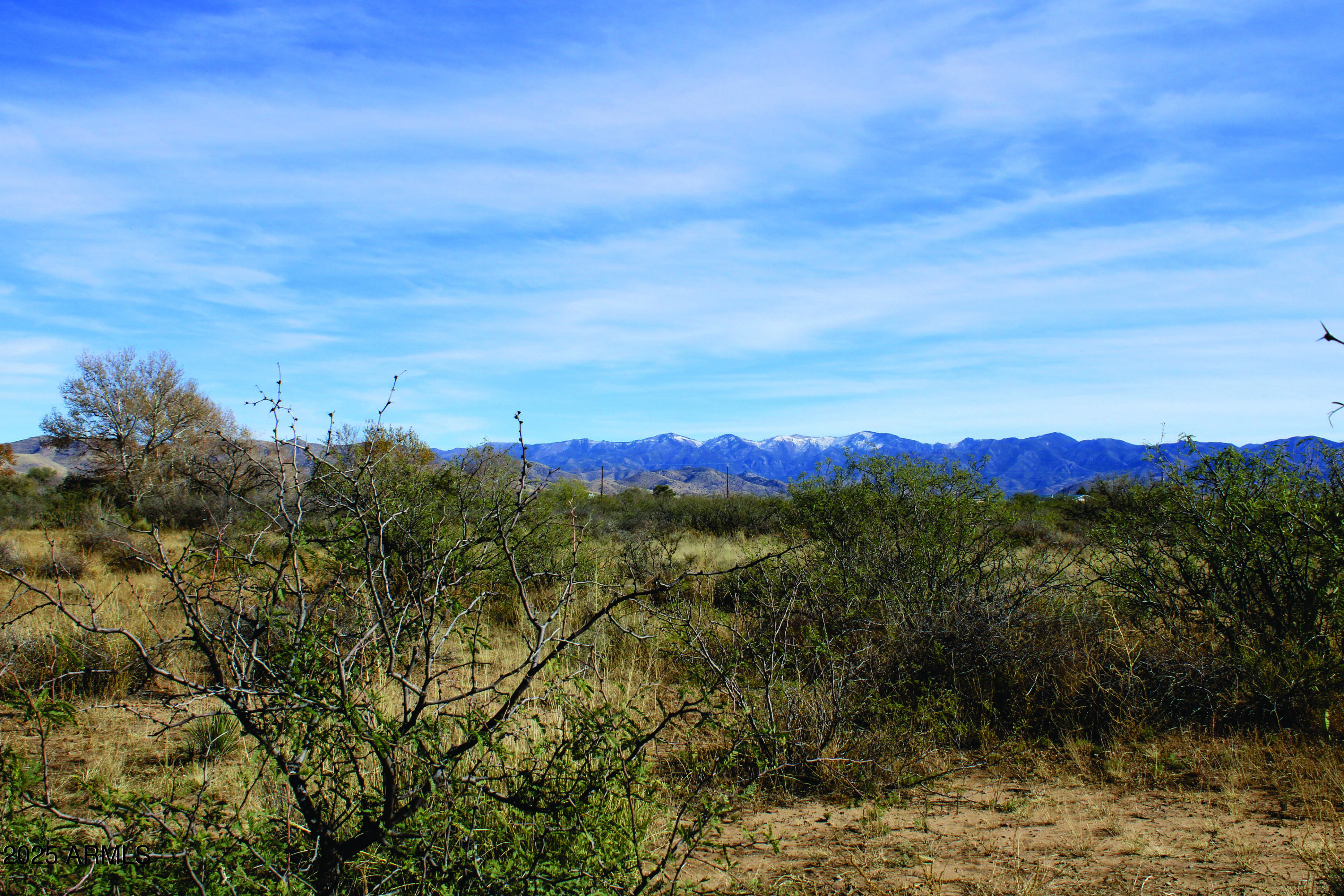 10-acres East Roadrunner Road Pearce, AZ 85625 - Photo 32 of 37 IMG_0808.JPG