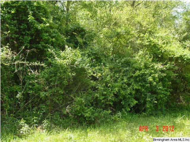 Mcintosh Road, Unit 4 Oxford, AL 36203 - Photo 17 of 24 Gallery Image 17