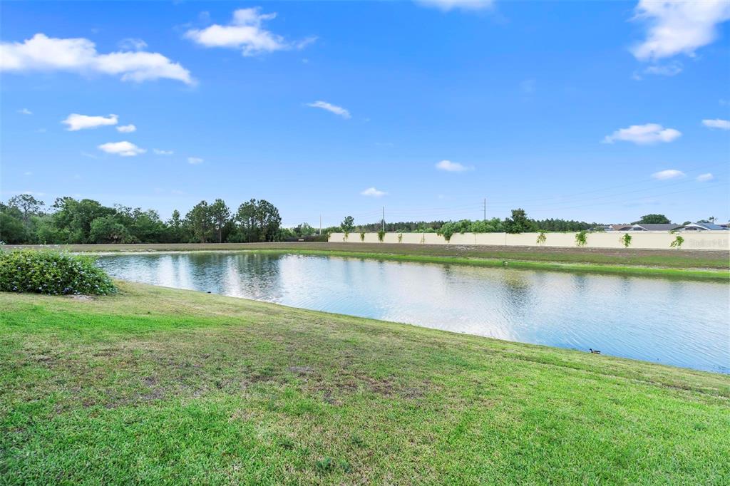 2535 Oneida Loop Kissimmee, FL 34747 - Photo 51 of 59 Pond View