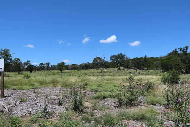 a view of a field with a tree in the background