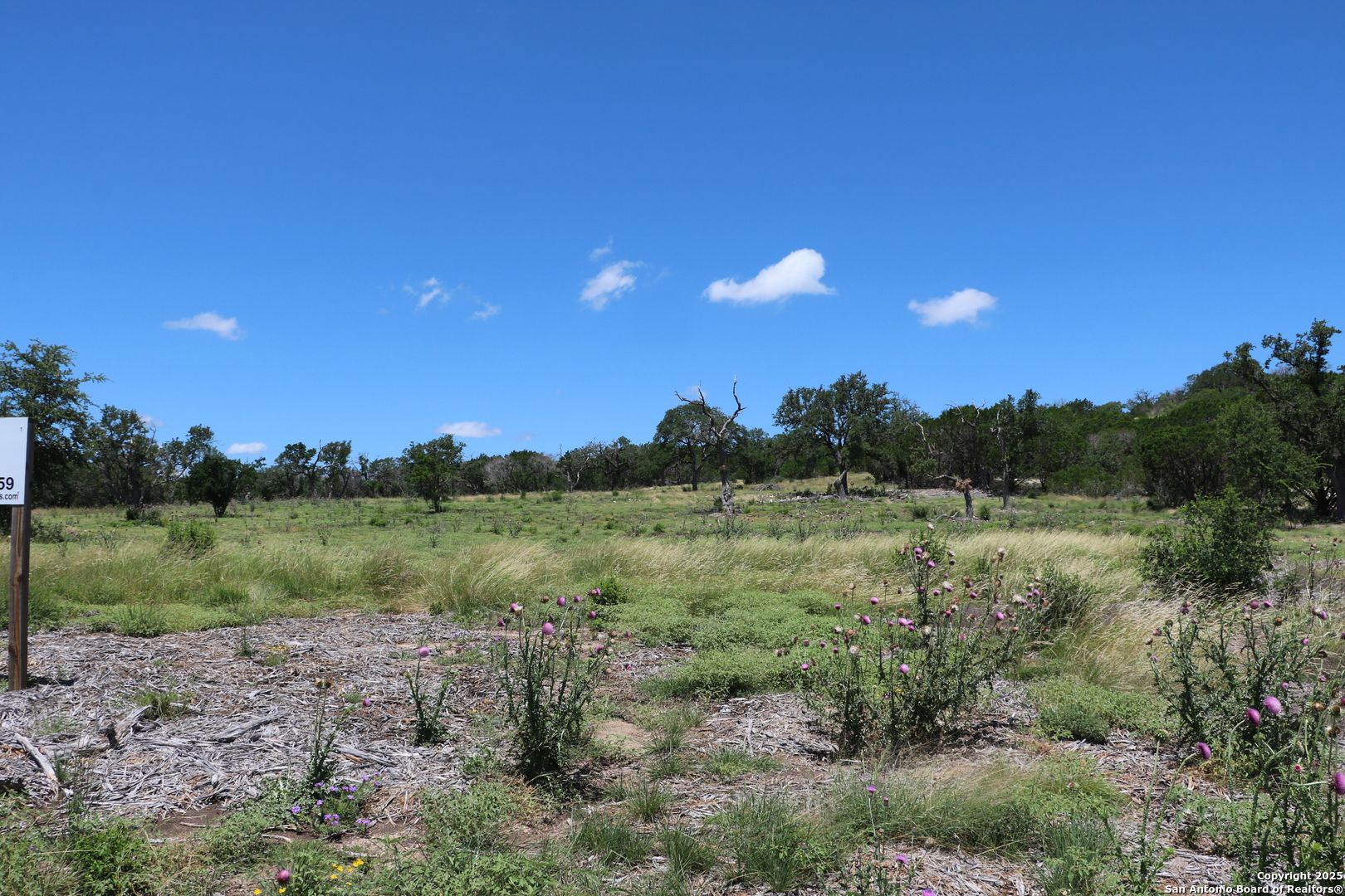 25 Seep Springs Center Point, TX 78010 - Photo 3 of 8 a view of a field with a tree in the background