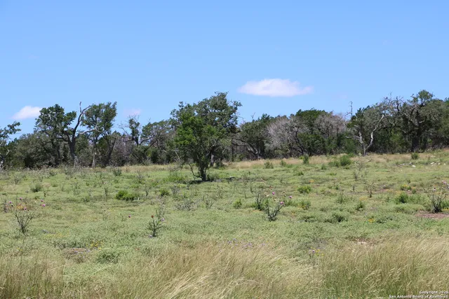 a view of a field with trees in the background