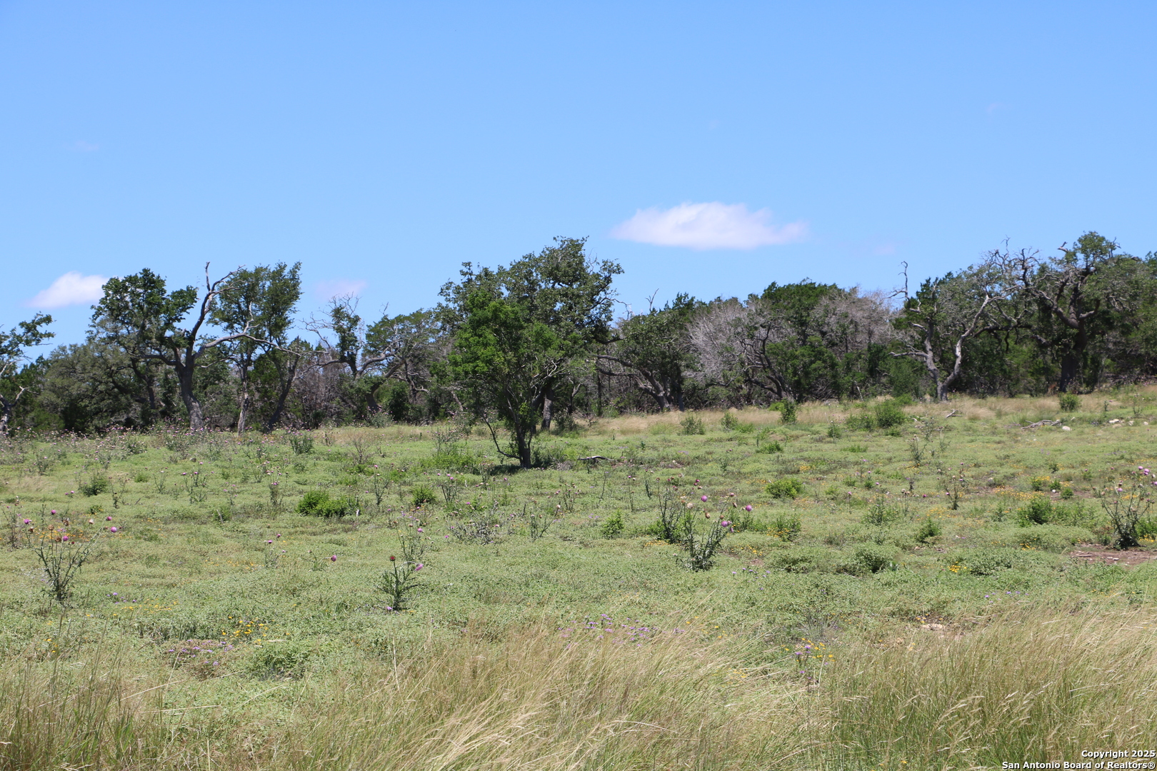 25 Seep Springs Center Point, TX 78010 - Photo 4 of 8 a view of a field with trees in the background