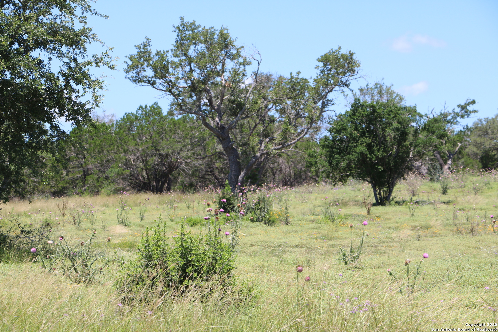 25 Seep Springs Center Point, TX 78010 - Photo 7 of 8 a view of a yard with a tree