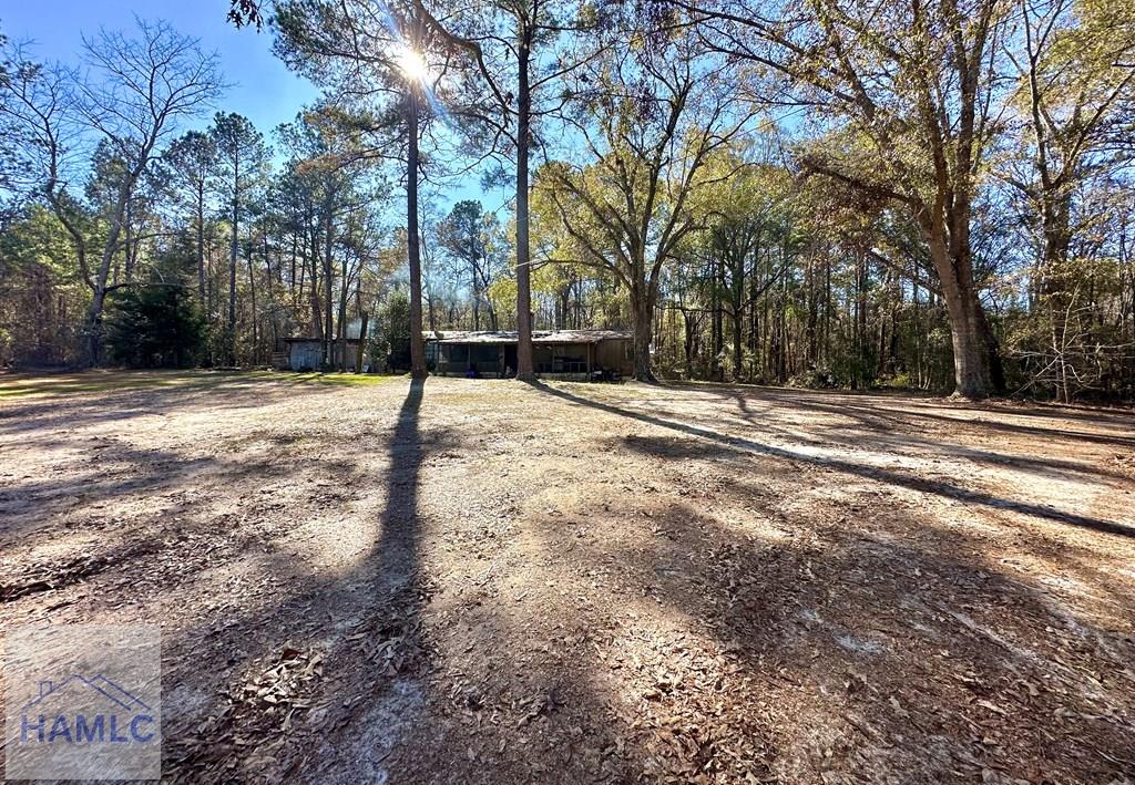 172 Arrowhead Road Abbeville, GA 31001 - Photo 2 of 22 Gallery Image 2