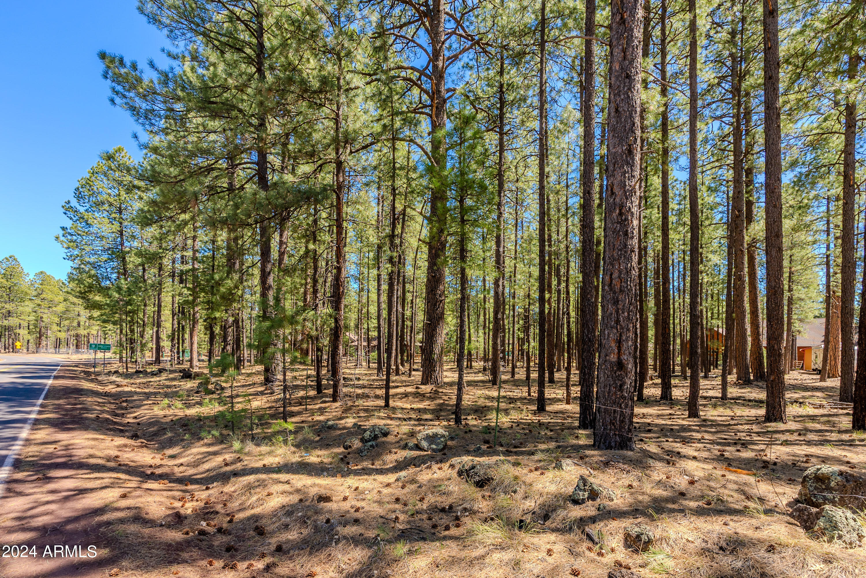 4583 Sky Hi Road Pinetop, AZ 85935 - Photo 21 of 30 4583 Sky Hi-21