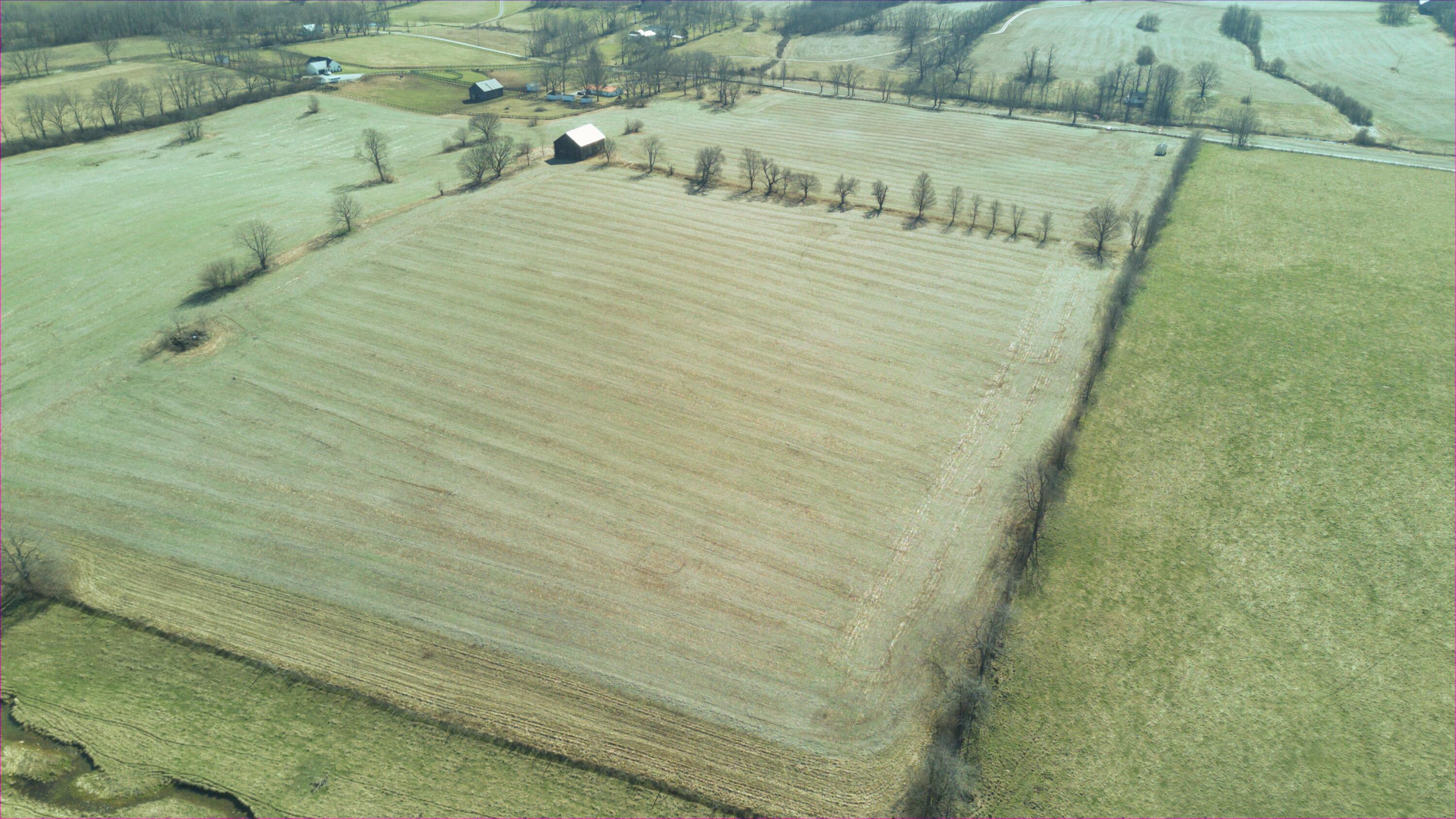 769 Parcel 1 Harrods Creek Road Paris, KY 40361 - Photo 13 of 19 4