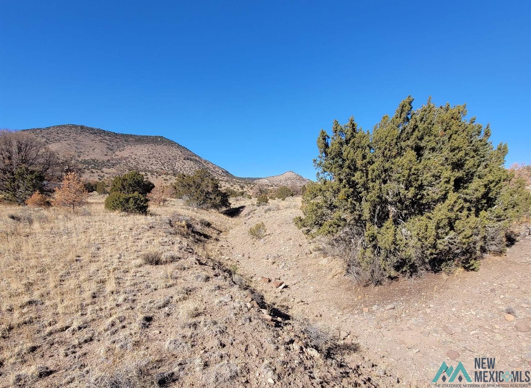 24 Hillside Circle Datil, NM 87821 - Photo 45 of 55 Gallery Image 45