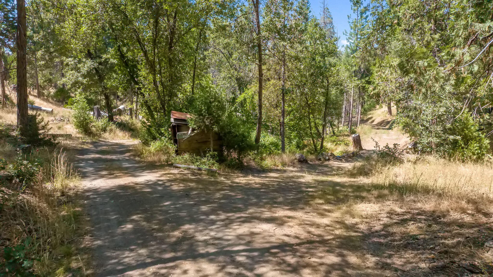 48675 Todd Eymann Road Miramonte, CA 93641 - Photo 98 of 103 97-web-or-mls-65-print-DJI_2024080514413