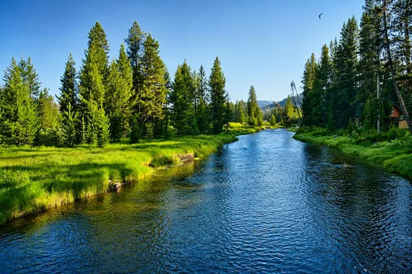 $225,000 | Tbd Tbd Secesh River Road, Unit 52, McCall, ID 83638